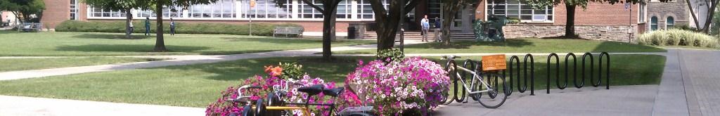 Quad View